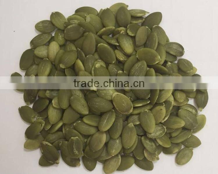 New crop green pumpkin seeds for sale