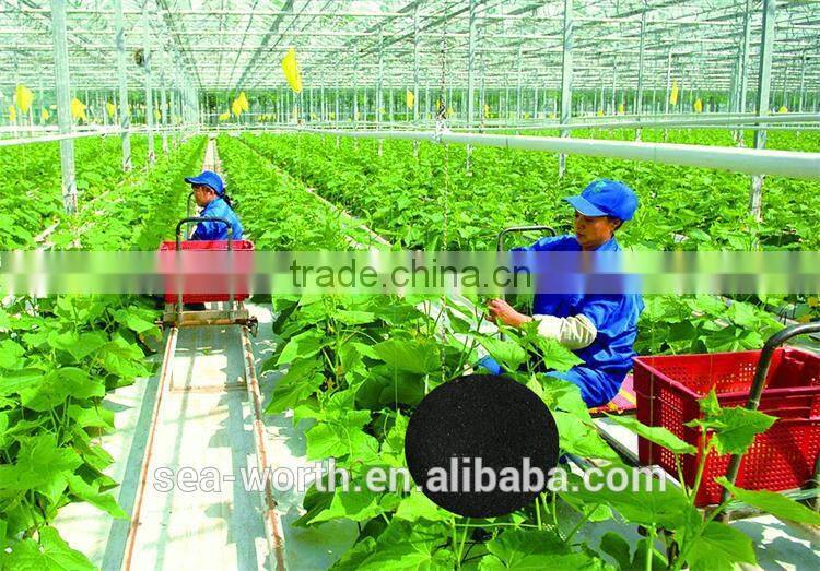 Best sell plant growth regulator for potato with competitive price