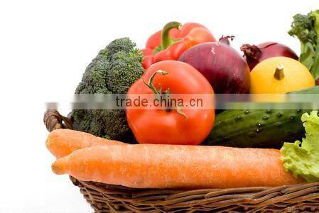 2014 HOT SALE portable meat slices &vegetable cutting machine