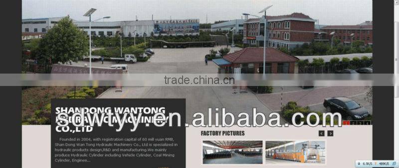 double effect piston type hydraulic cylinder