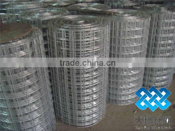 heavy gauge welded wire mesh