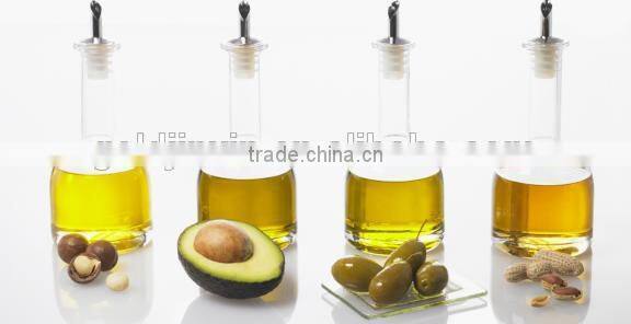 China 100TDP Commercial oil expellers For getting edible oil