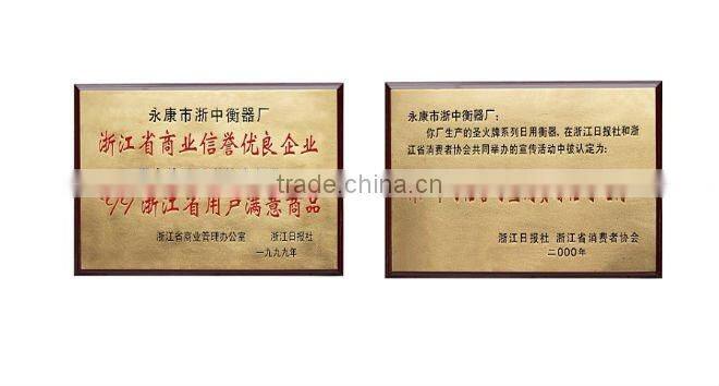 500kg Manual weighing scales / Platform scale