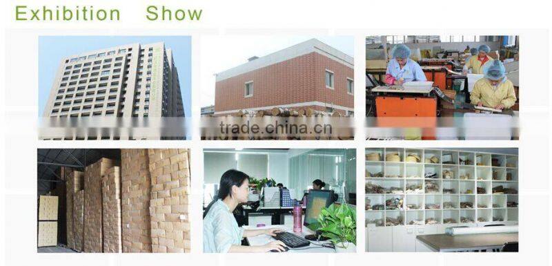 Hospital Healthy Birch Wood Eco-friendly Beauty Tongue Depressor Wooden