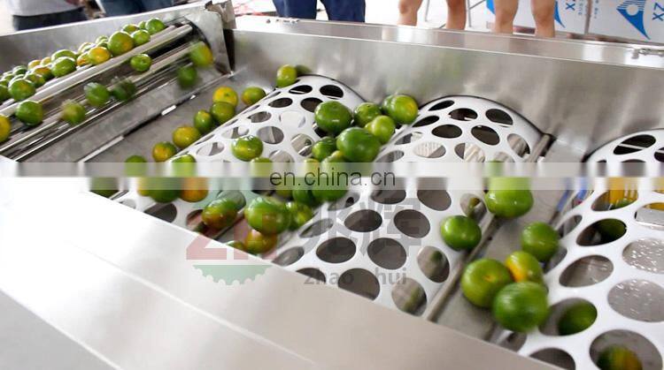 2018 High quality commercial apple grader fruit and vegetable grader on sale