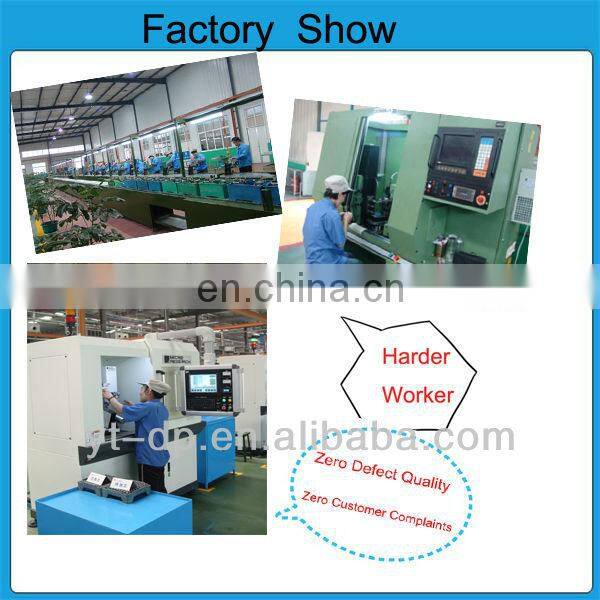 Fuel Injection Pump Spares Plunger and Barrel 2418450069 2418450108