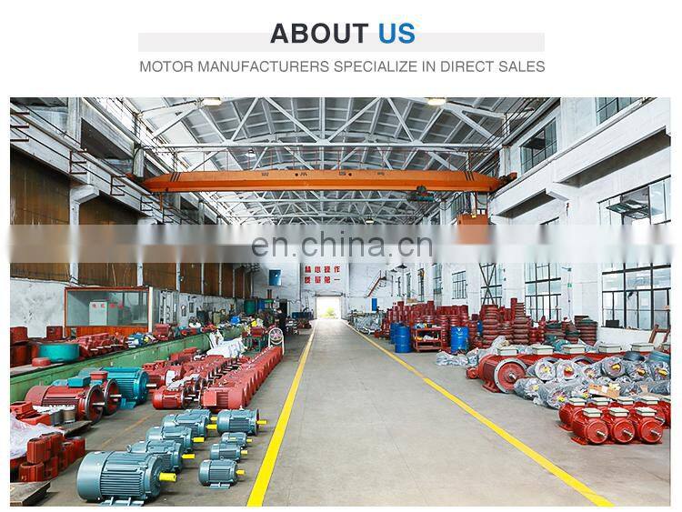 Hot selling 30kw 2955 rpm YE2 200L1-2 three phase electric ac water pump motor made in China