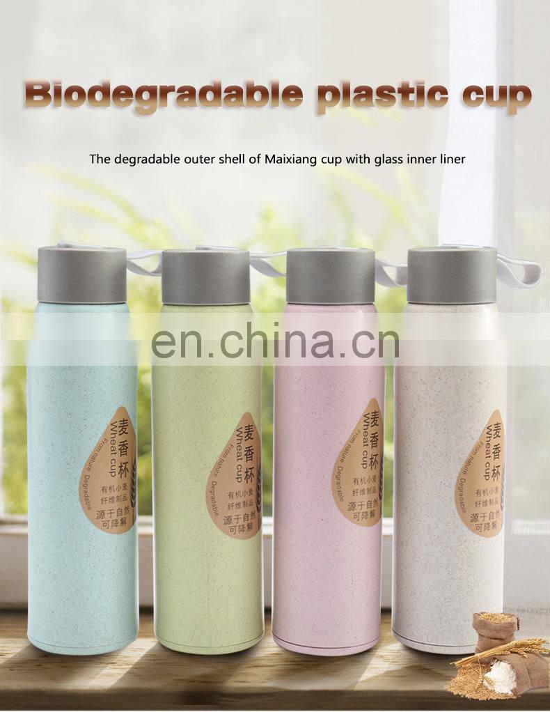 Wholesale Wheat Straw Bottle Double Wall Glass Drinking Water Bottle Bpa Free