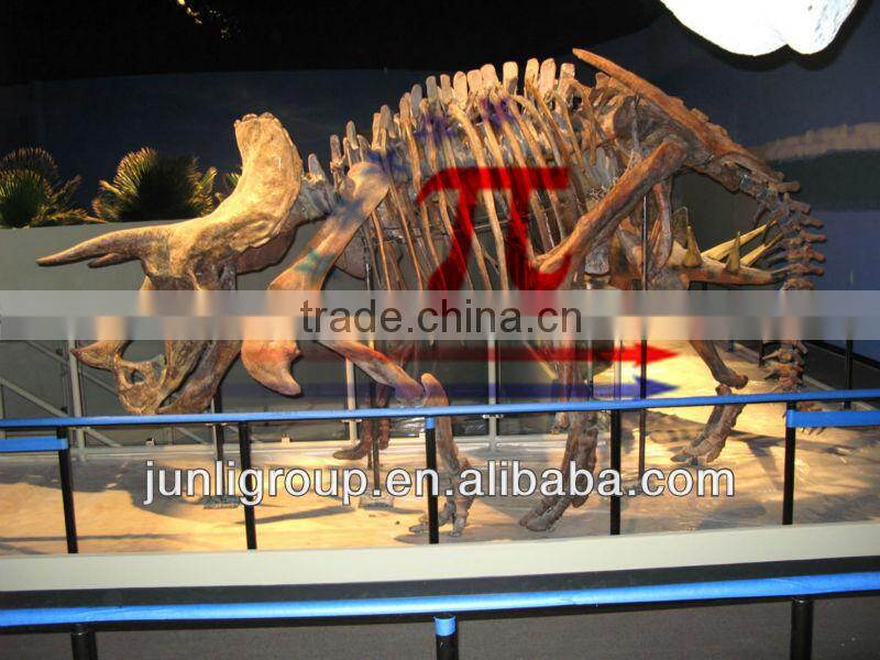 JLDF-G--0004 Emulation dinosaur skeleton mould for sale,head fossil