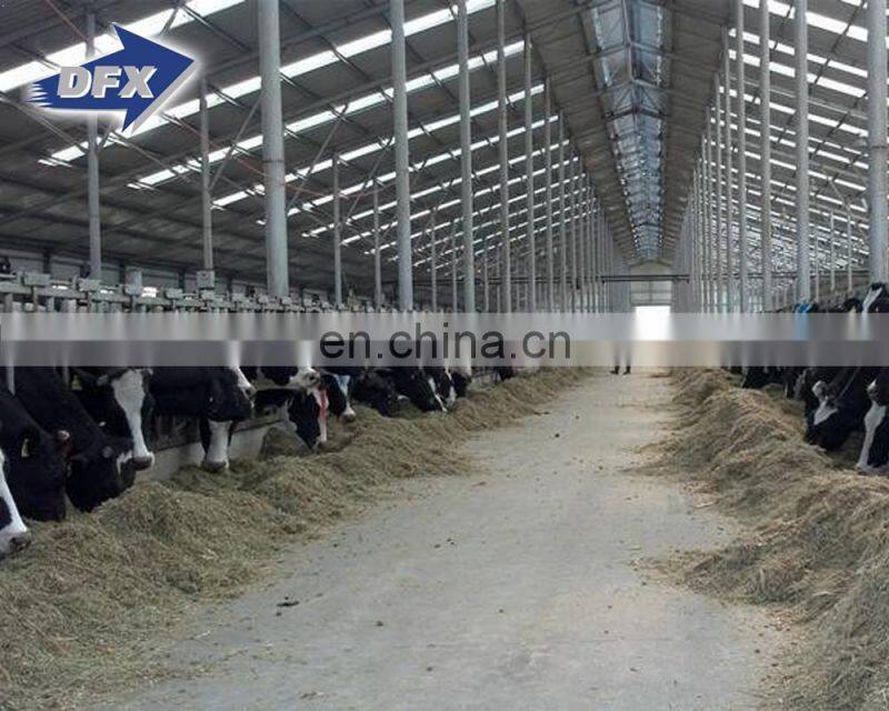 Qingdao customized design prefabricated steel structure cattle farm barn house