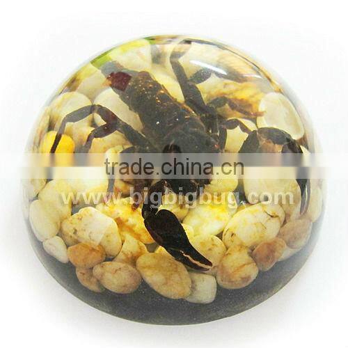 New design acrylic half ball with real ember embedded for promotional gift