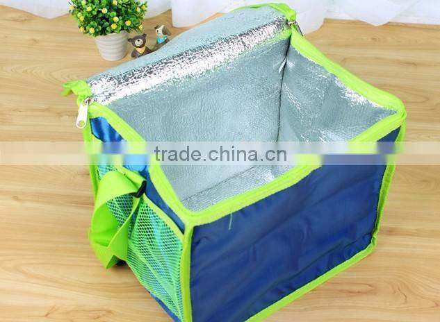 Unique custom outdoor picnic disposable cooler bag