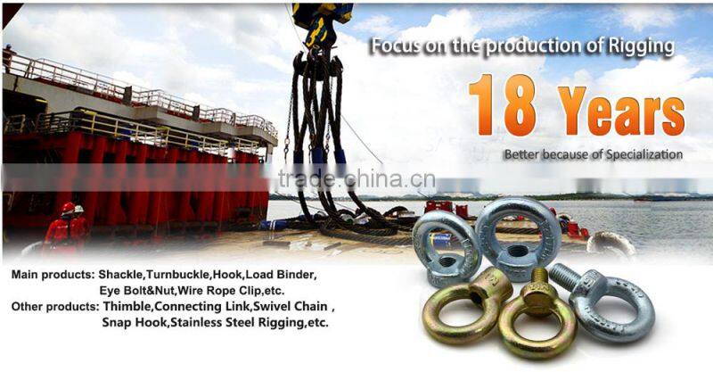 Stainless Steel Eye Bolt