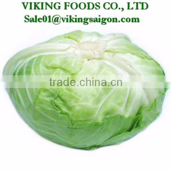 *Special _ Fresh Green Cabbage _ From Vietnam*