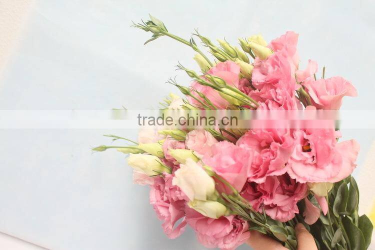 Alibaba china hotsell fresh cut flower eustoma lisianthus