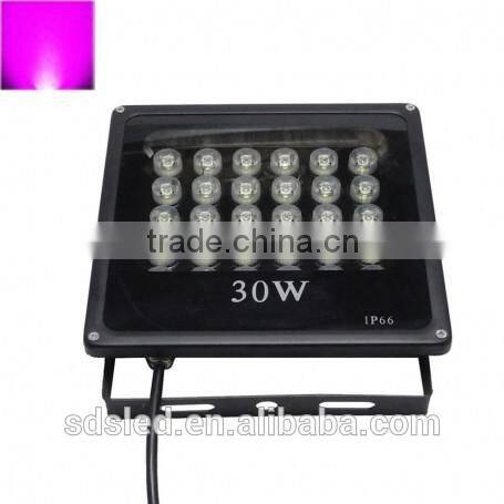 LED flood light Flood Lighting IP66 High Power Pink AC85-265V led floodlight 30W