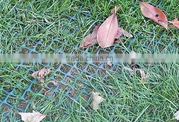 Grass Mesh for Turf and Lawn Reinforcement
