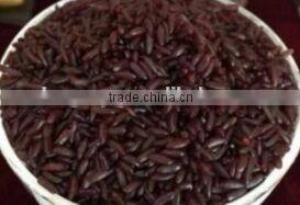 Instant rice/nutritional rice production line