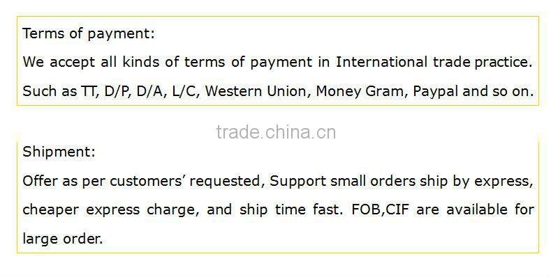 Outdoor Cooker units Stove Picnic Stove Portable oil and Gas Stove With Oil Bottle