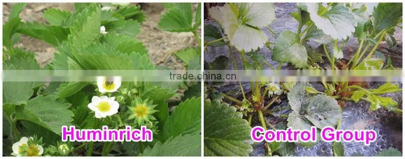 Huminrich 100% Water Soluble Organic Potassium Humate Best Fertilizer For Strawberry
