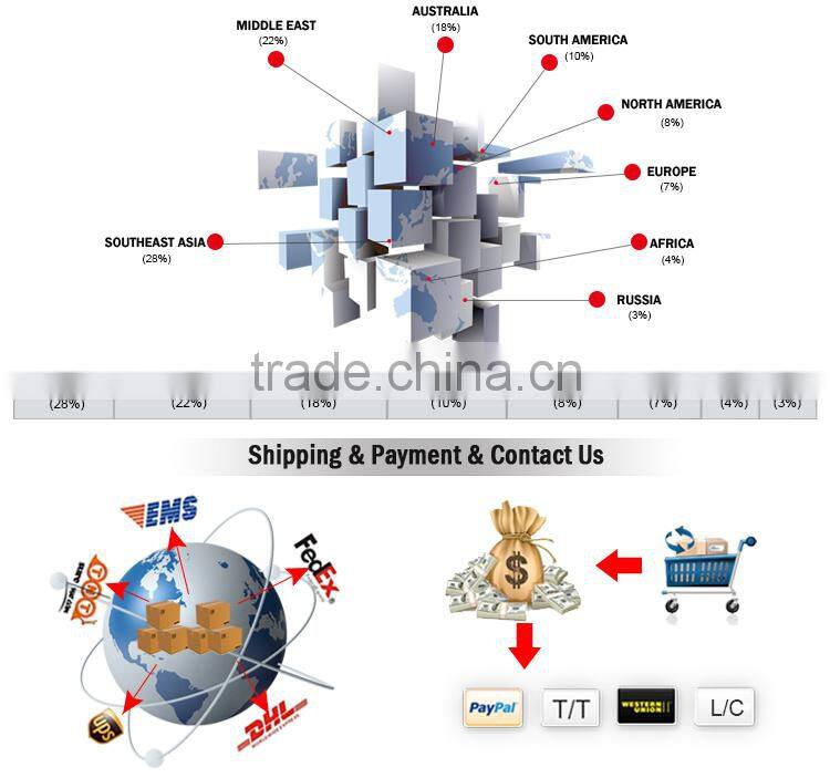 Elegant hand tufted wool rug for apartment, house decoration, balcony