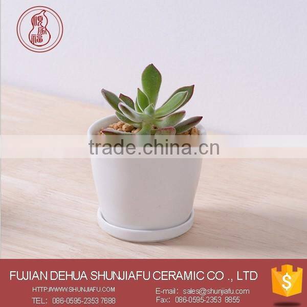 2016 New Design Minimalist Seashell Shaped White Ceramic Small Flower Pots,Succulent plants Pots