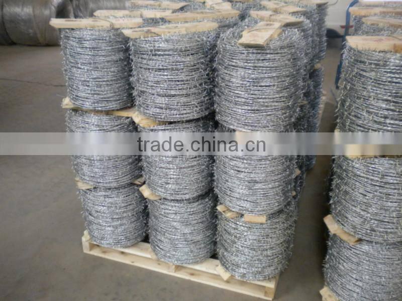 Double Stranded and Single Stranded Galvanized Barbed Wire