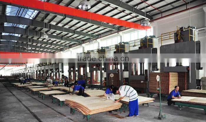 New 2700x1370x42mm plywood cold press machine , cold press machine