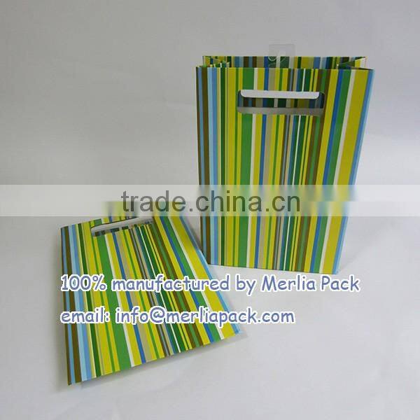 Luxury Paper Gift Bags Party Wedding Birthday with Euro Hook Slot Hang Tabs Bag