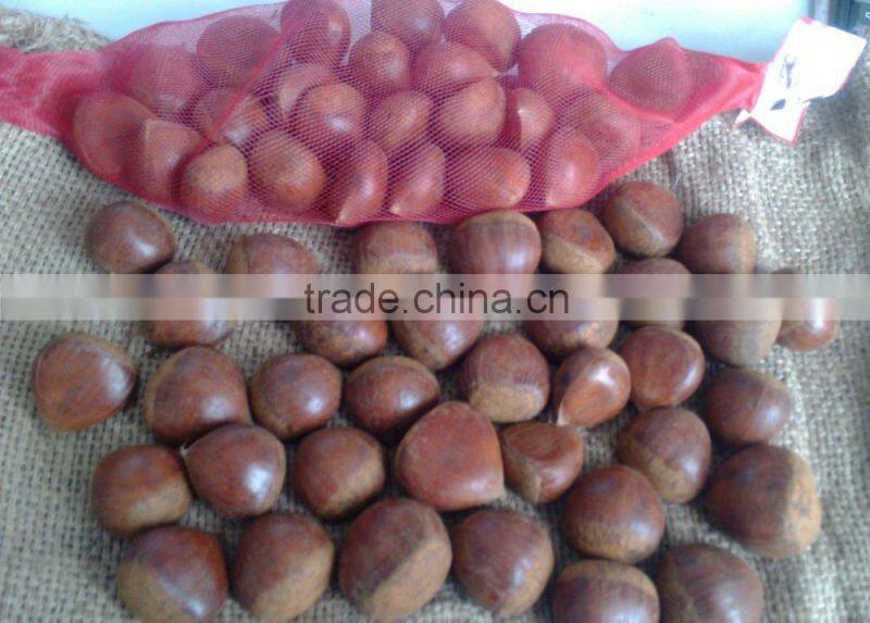 fresh chestnut,2015 chestnut,TianJin chestnut factory fresh