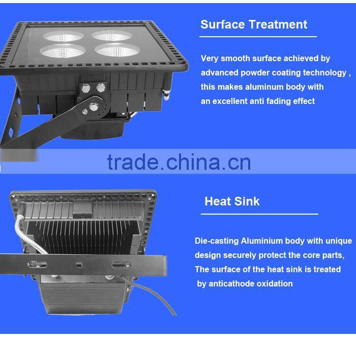 Patented Heat Sink 250W LED Floodlight