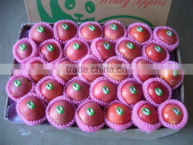 China Unbagged Fuji Apple