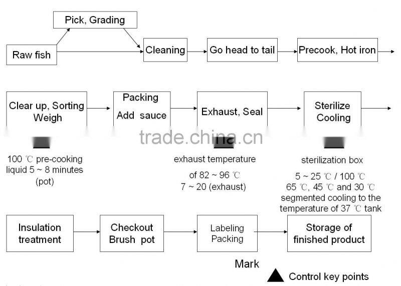 canned tuna chunks in oil