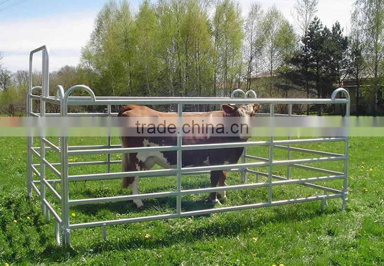 Cattle Fencing Panels