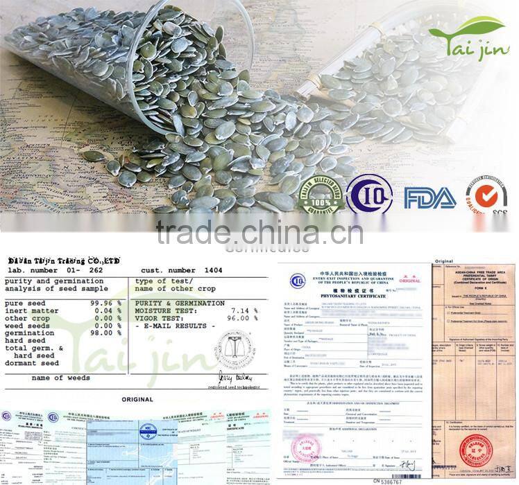 EU Standard GWS pumpkin seeds for sale