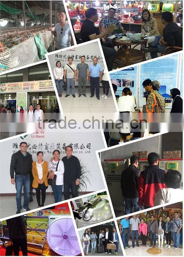 controlled automatic poultry equipment for chicken farm