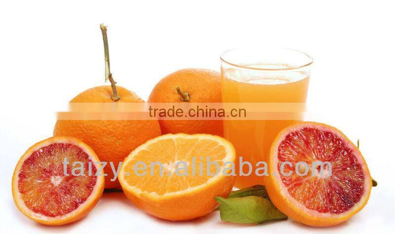 Orange juice press machine//008618703616828