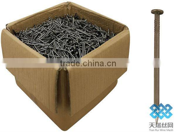 common nail/polished nail/galvanized nail
