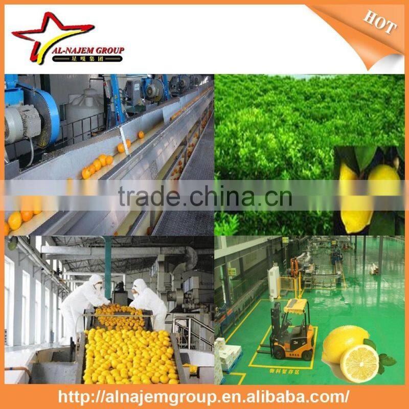 hot hot juice production lemon beverage hot filling machine lemon processing machine
