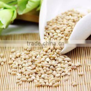 High precision--Wheat seeds cleaning machine