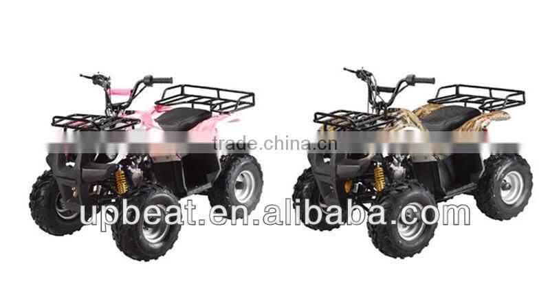 NEW DIRT AUTO QUAD BIKE ATV BUGGY 110cc PEEWEE CYCLONE