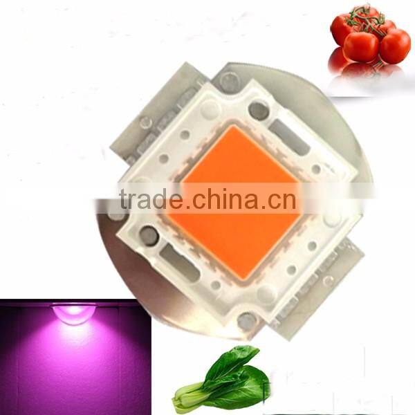 2017 20w full spectrum wavelength 380 840nm cob led grow bead for diy indoor plant flower and veg growing