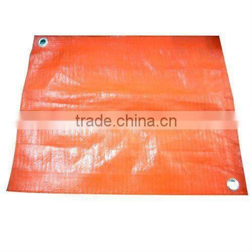 polyethylene Woven fabric,Printed and Waterproof PE plastic sheets