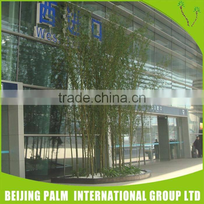 Water Proof 2017 Artificial Bamboos