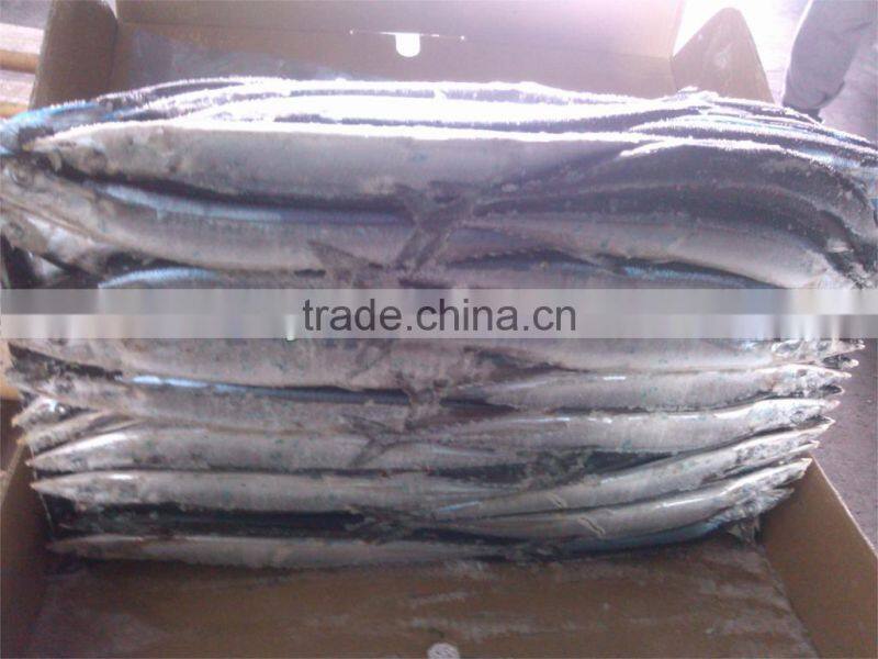 Size #3 frozen saury