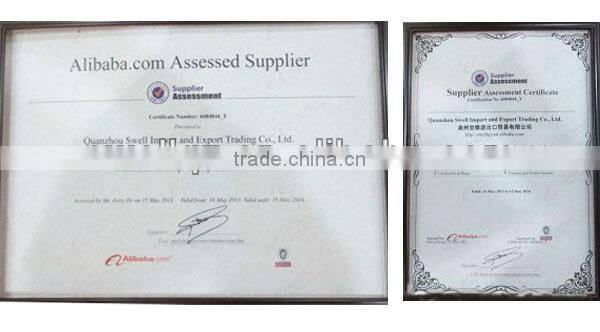 New degisn Men's Sport padding Jacket