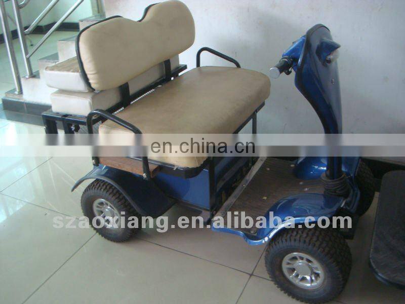 Hot selling 2 seater Small golf buggy