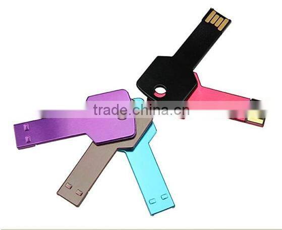 metal usb key usb / disk on key 2gb usb 2.0 driver with ROHS CE SASO 4gb 8gb 16gb 32gb
