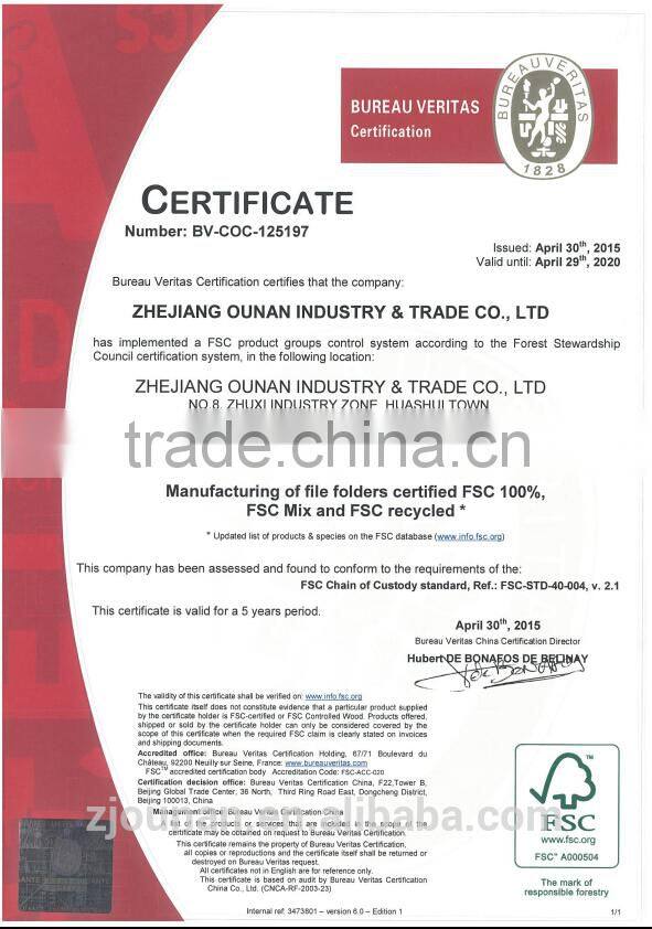 PP expanding file hand file bag