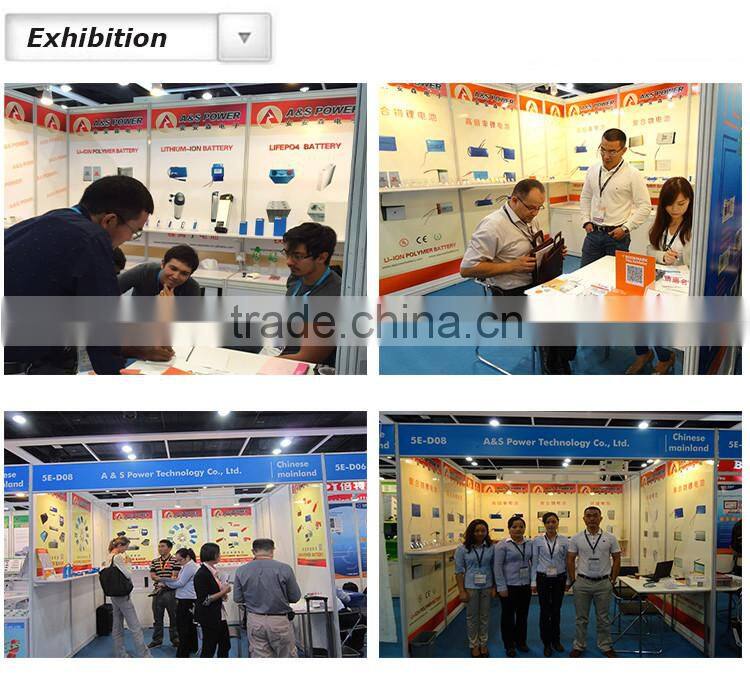 Lifepo4 Rechargeable Lithium Battery 12V 12Ah Pack